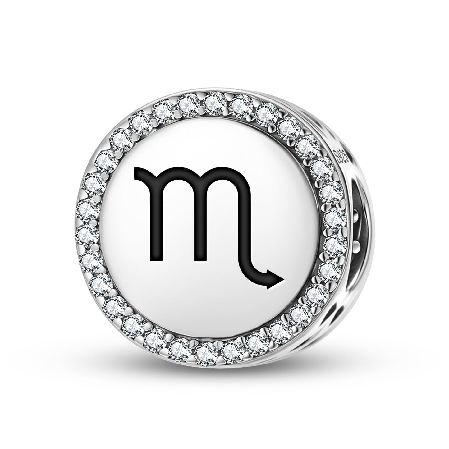 Scorpio Astrology Symbols Charm