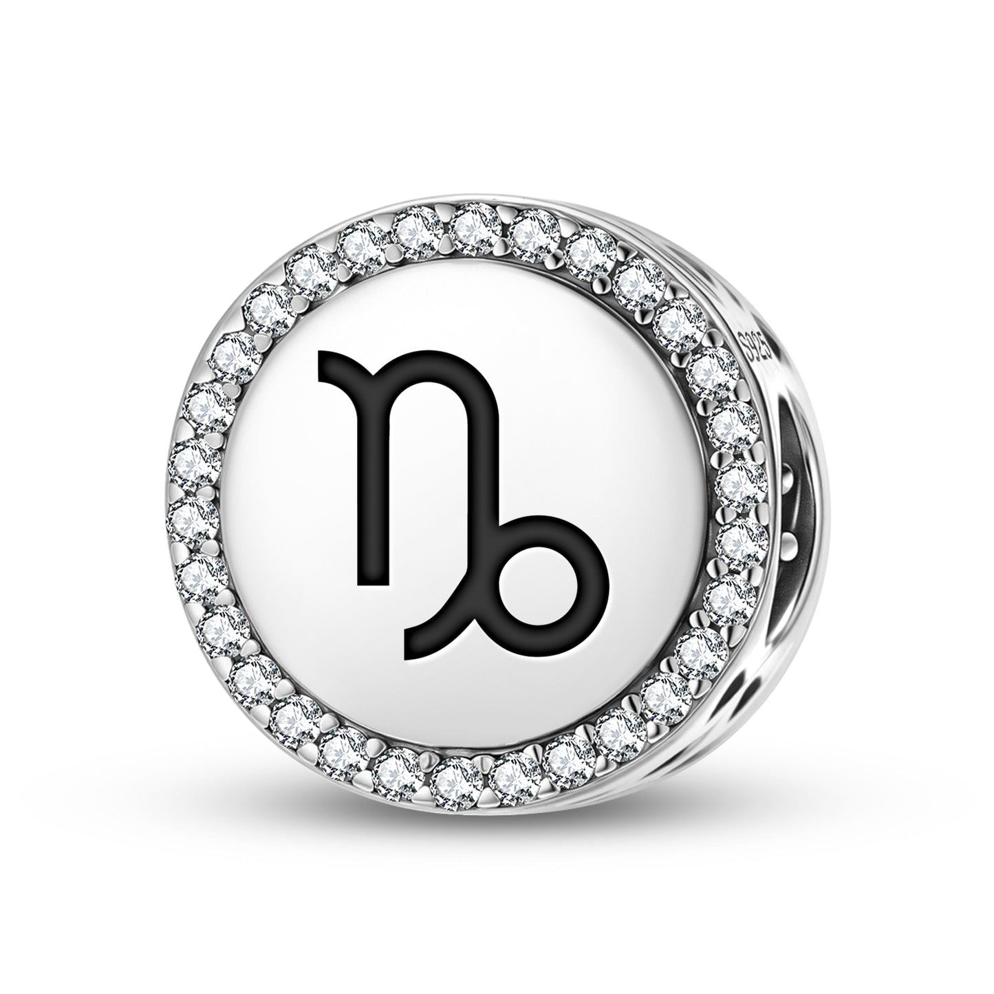 Capricorn Astrology Symbols Charm