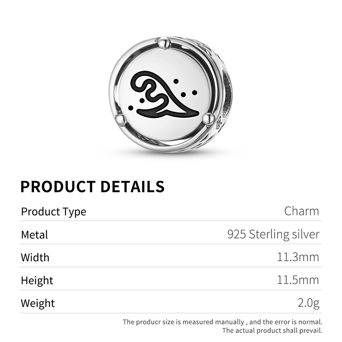 Saito Michimon Japanese Symbols Charm