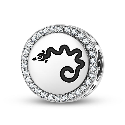 Tokchi'i Hopi Symbols Charm