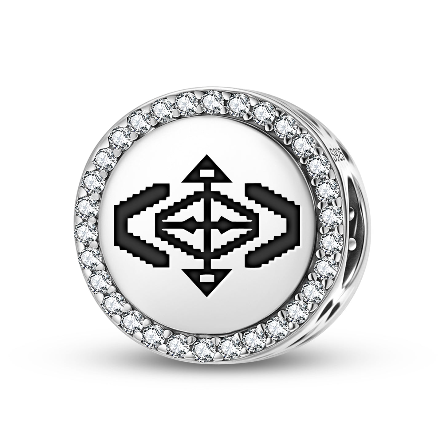 Tortoise Protection Lakota Sioux Symbols Charm