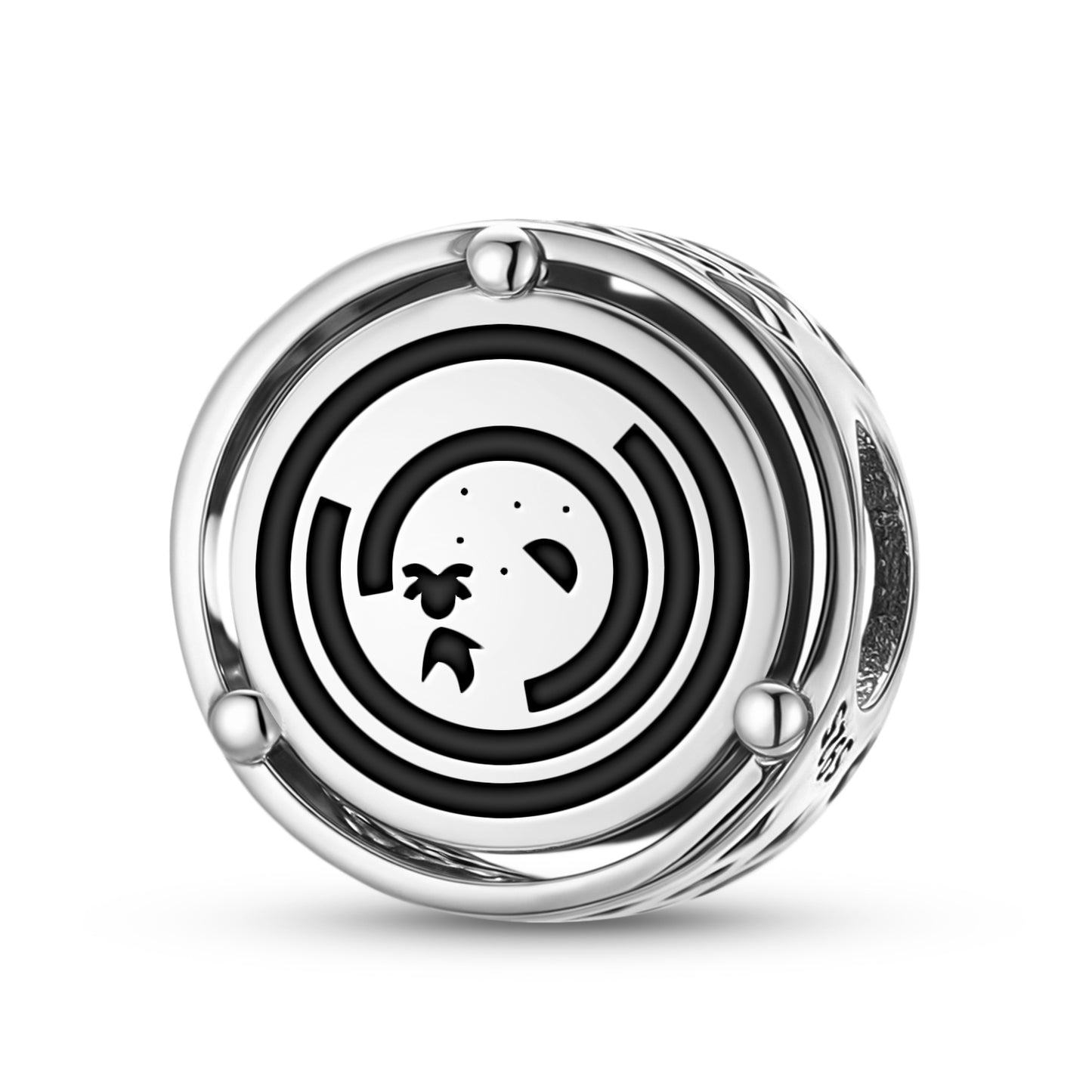 Shaman to the Sky Lakota Sioux Symbols Charm