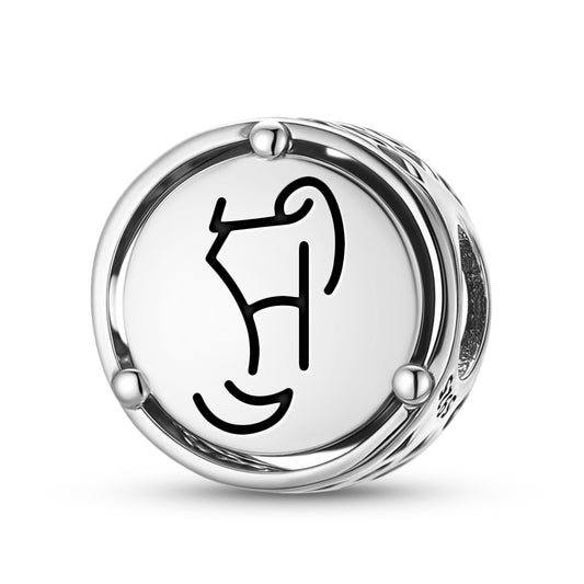 ZEN KAI JO Reiki Symbols Charm