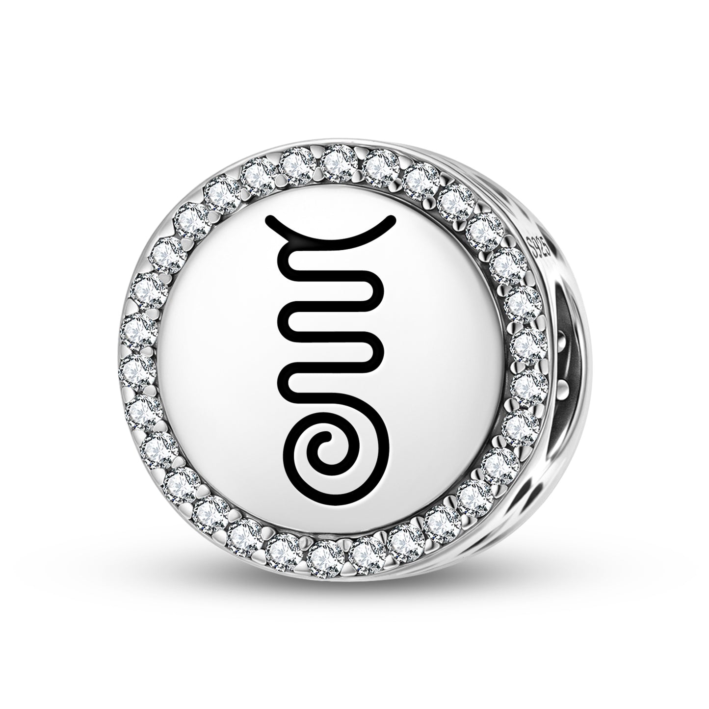 FIRE SERPENT Reiki Symbols Charm