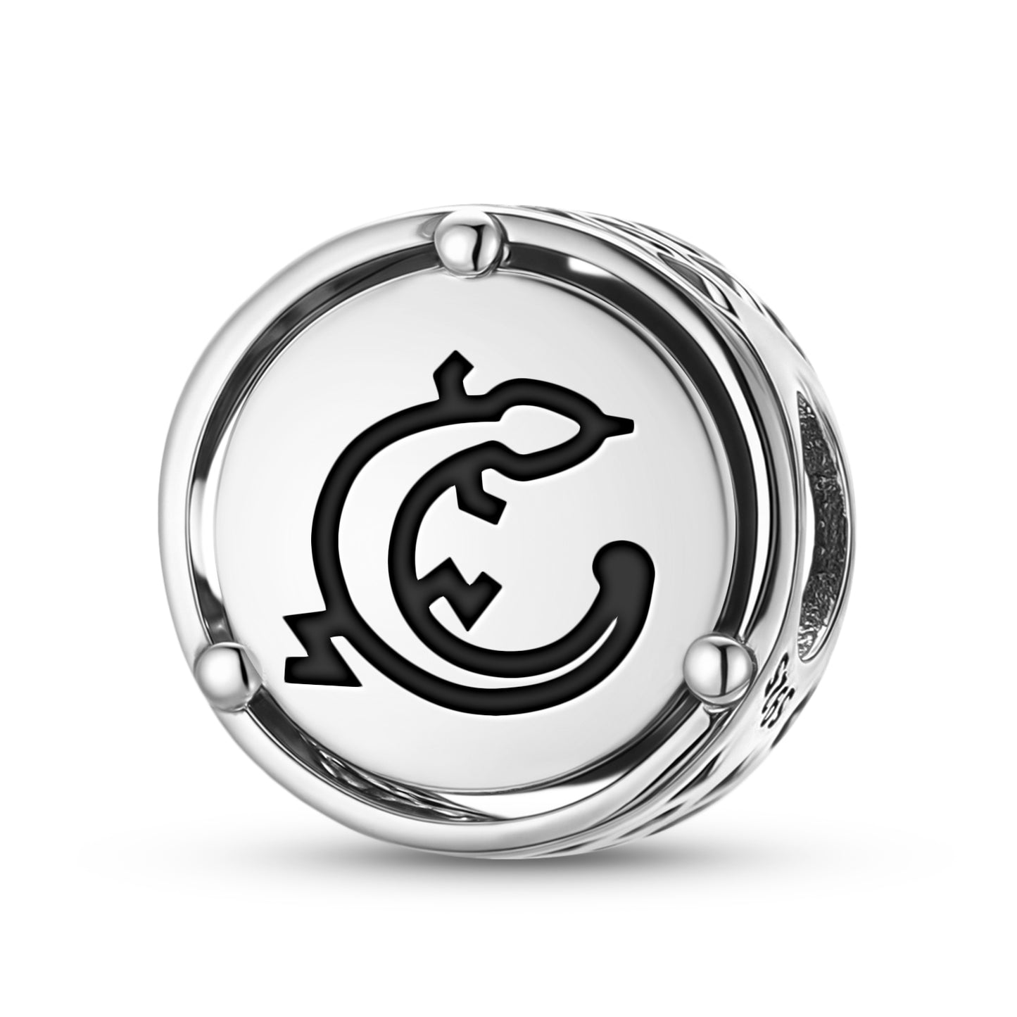 LIZARD Animal Symbols Charm