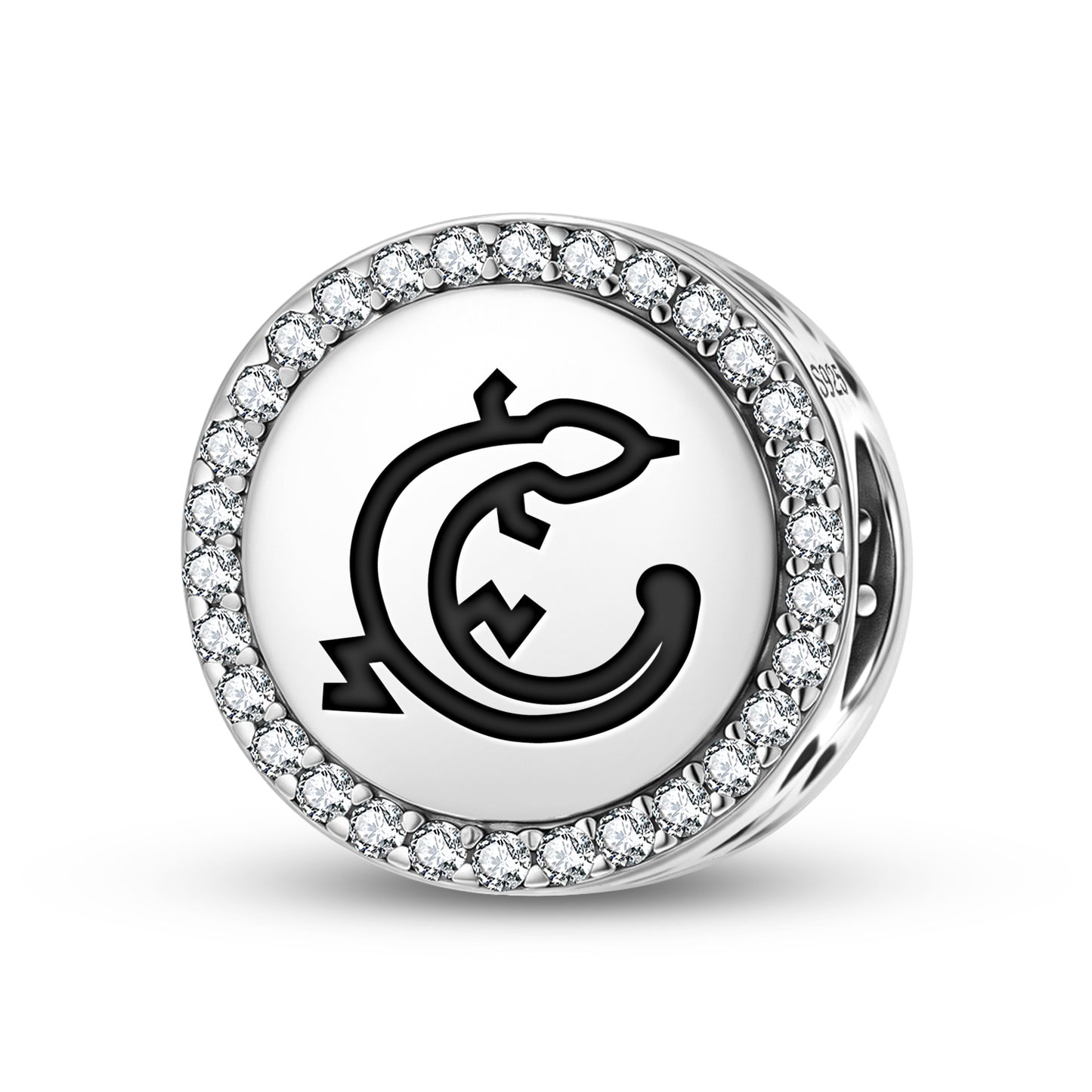 LIZARD Animal Symbols Charm