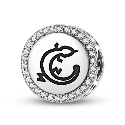 LIZARD Animal Symbols Charm