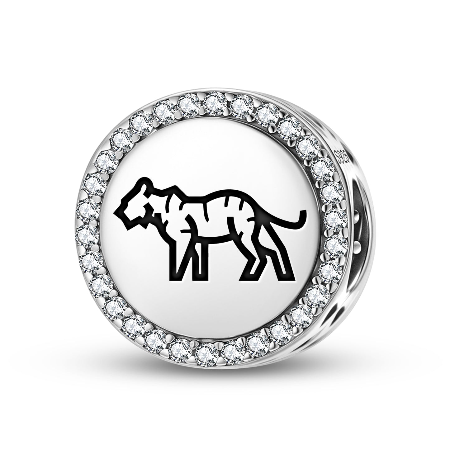 TIGER Animal Symbols Charm