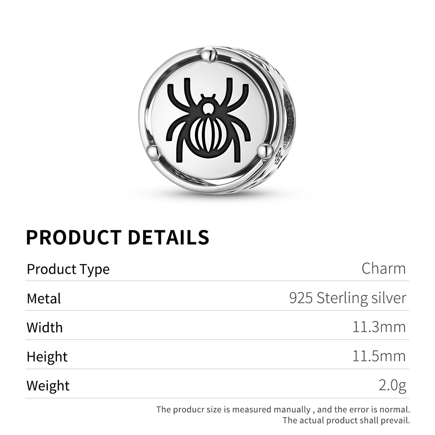SPIDER Animal Symbols Charm