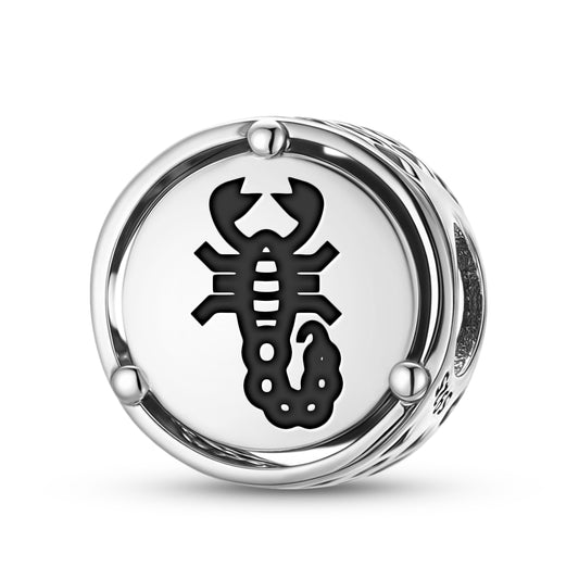 SCORPION Animal Symbols Charm