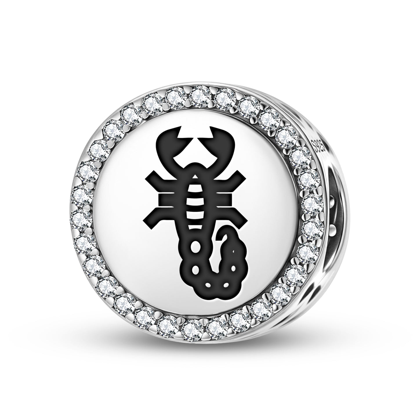 SCORPION Animal Symbols Charm