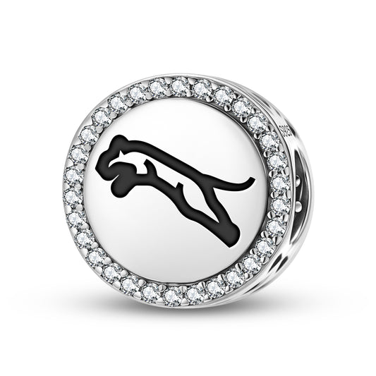 JAGUAR Animal Symbols Charm
