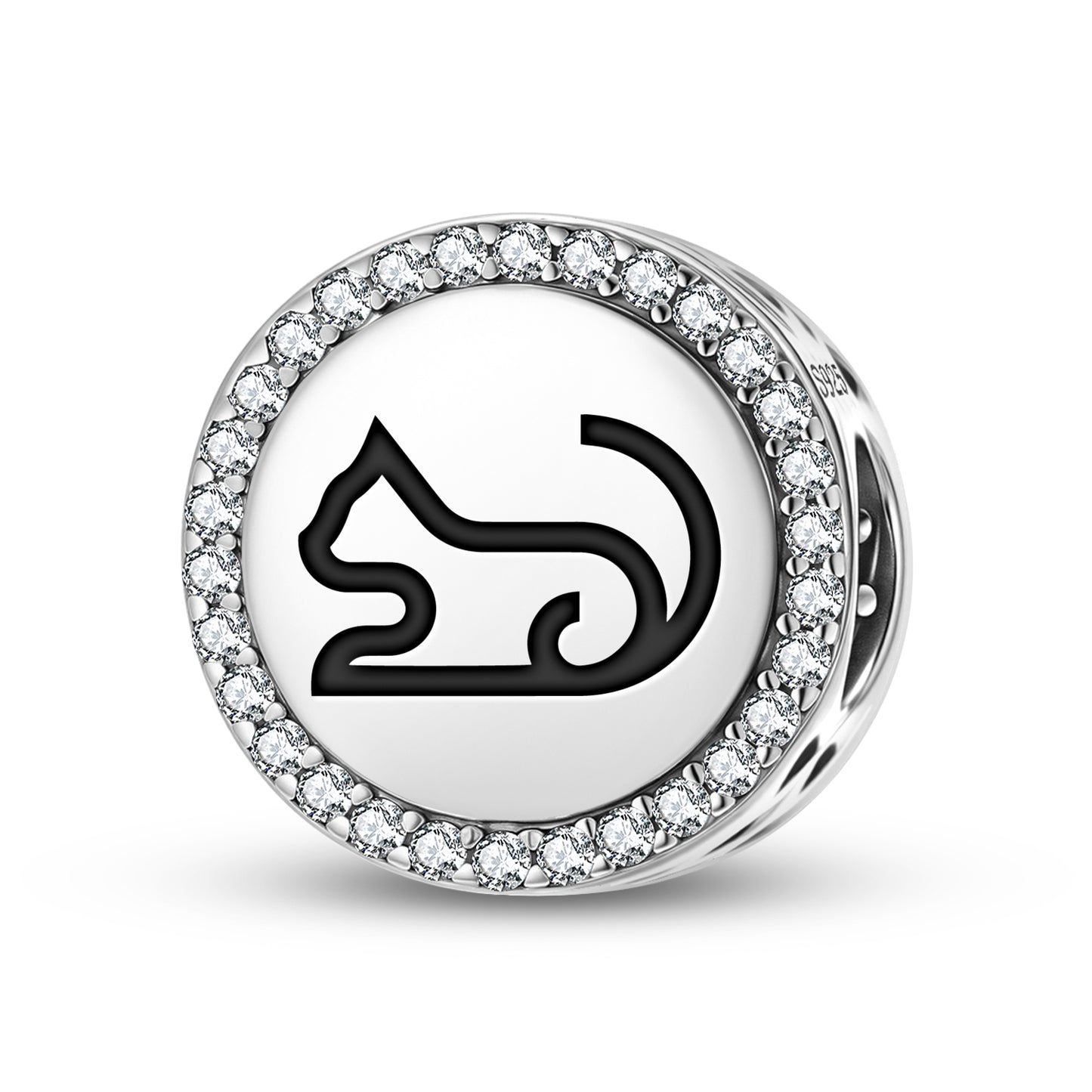 CAT Animal Symbols Charm