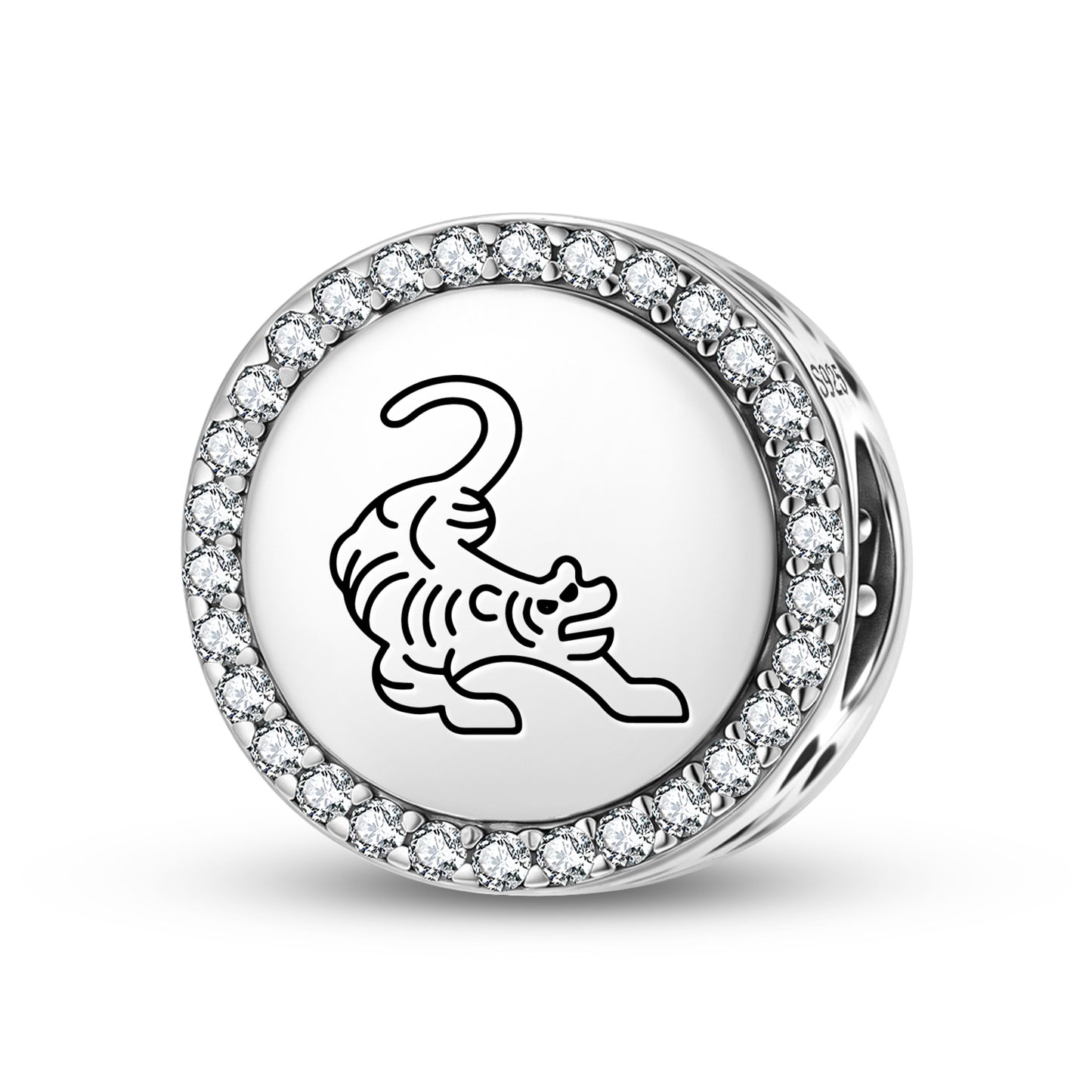 The Tiger Feng shui Symbols Charm