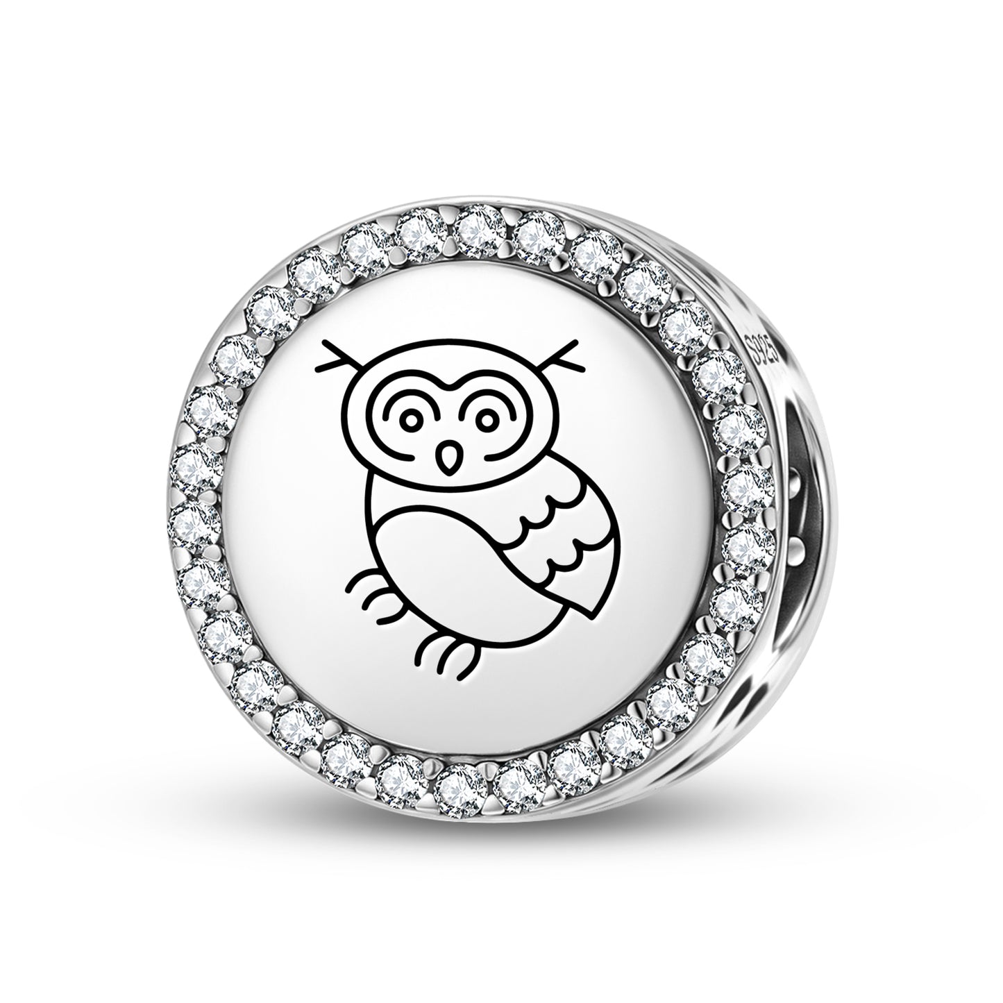 The Owl Feng shui Symbols Charm