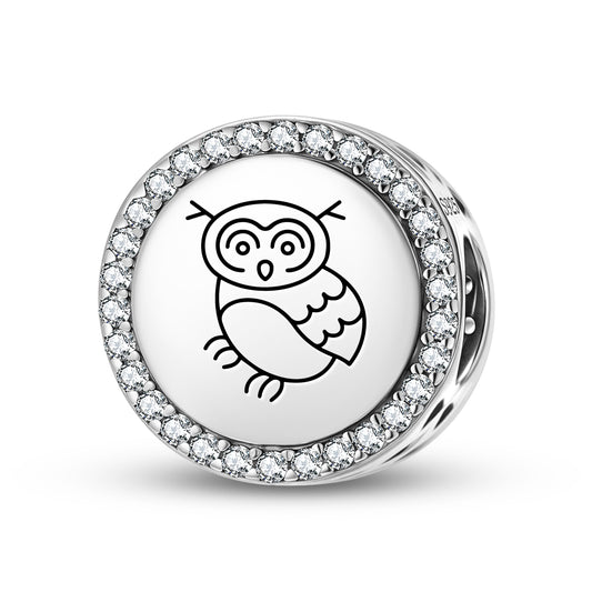 The Owl Feng shui Symbols Charm