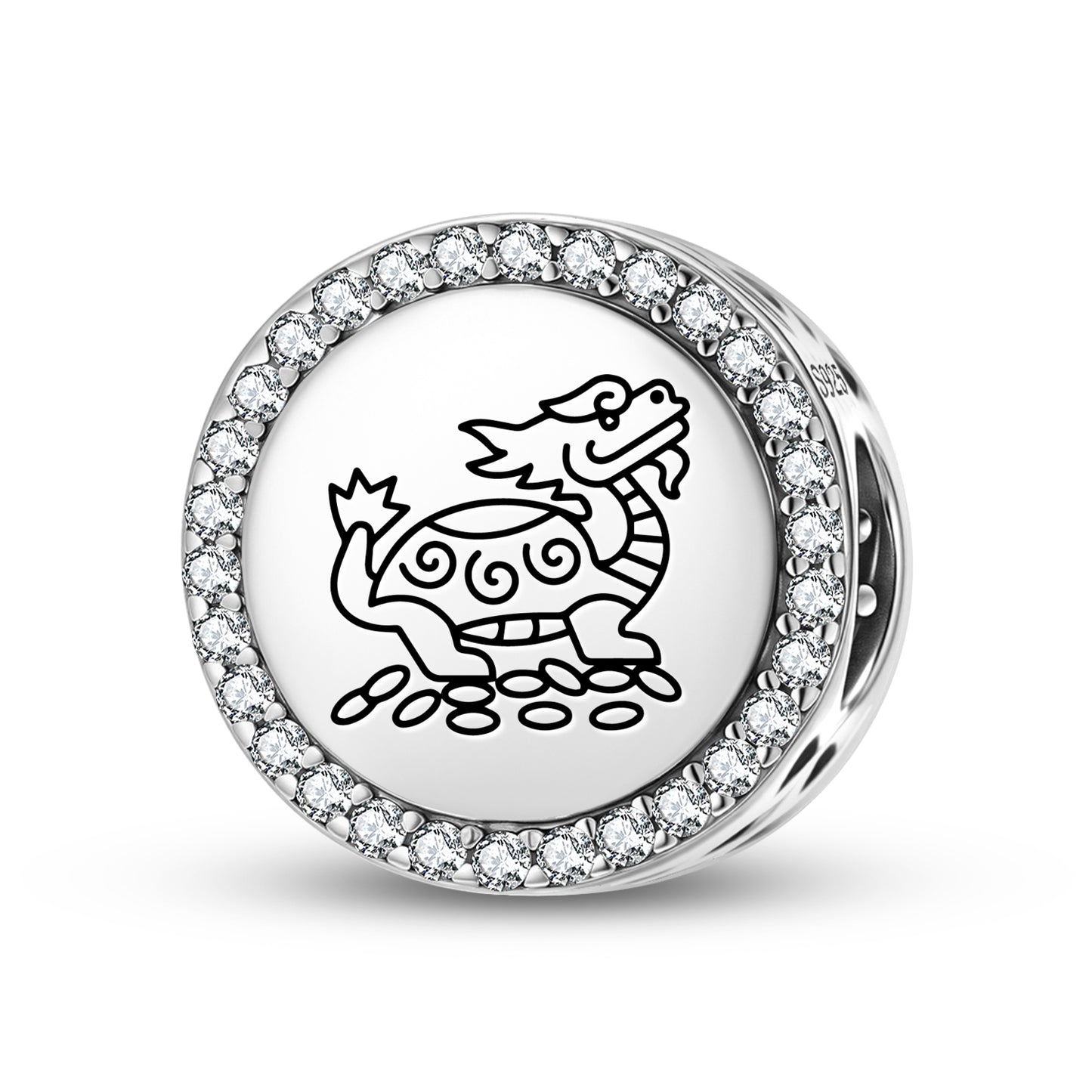 Dragon Turtle Feng shui Symbols Charm