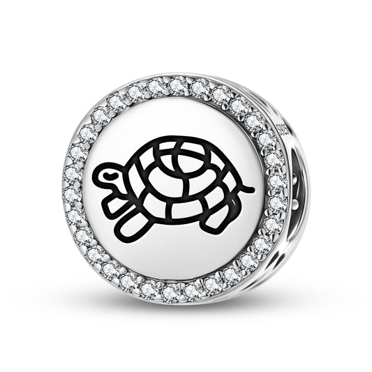Kachup Tortoise Jainism Symbols Charm