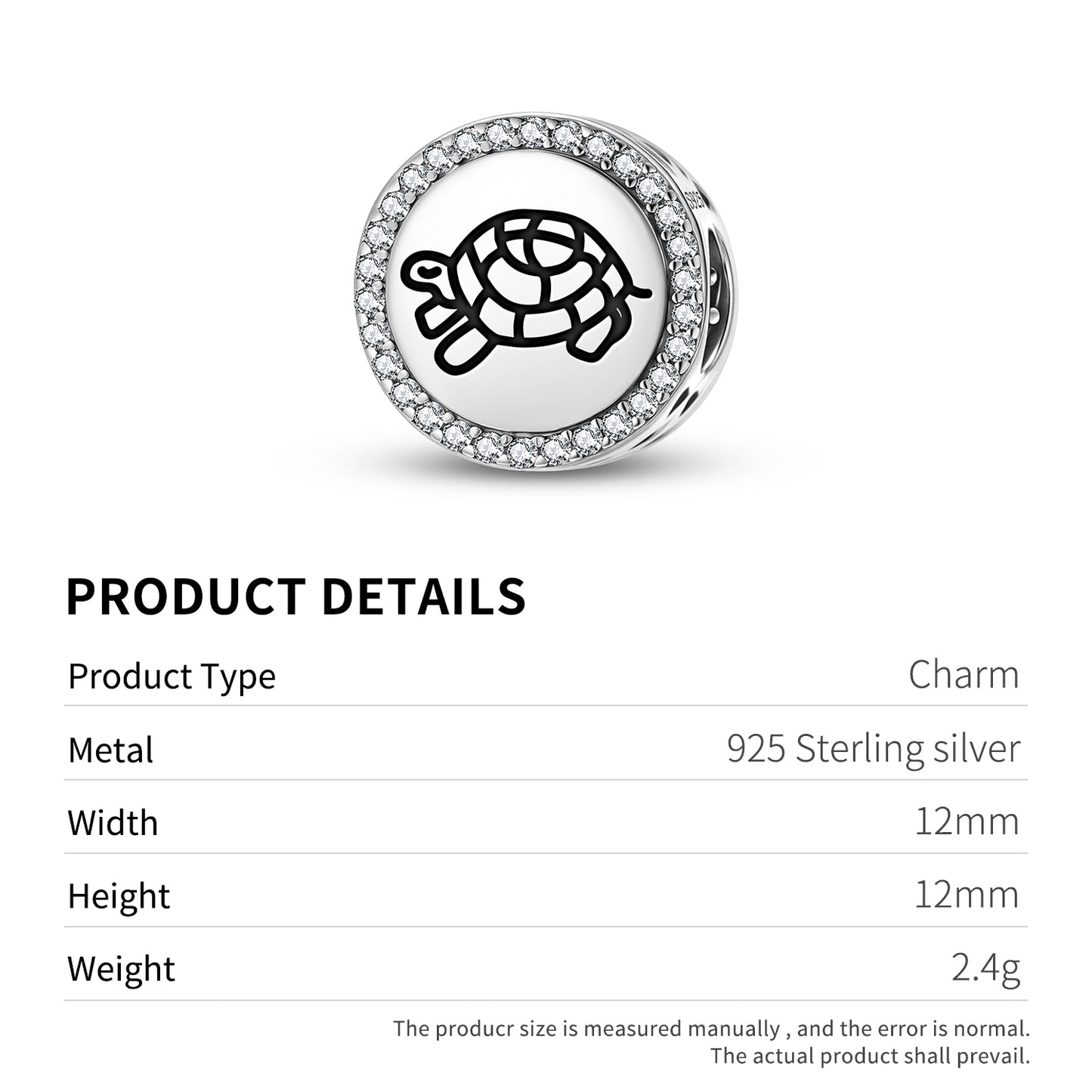 Kachup Tortoise Jainism Symbols Charm