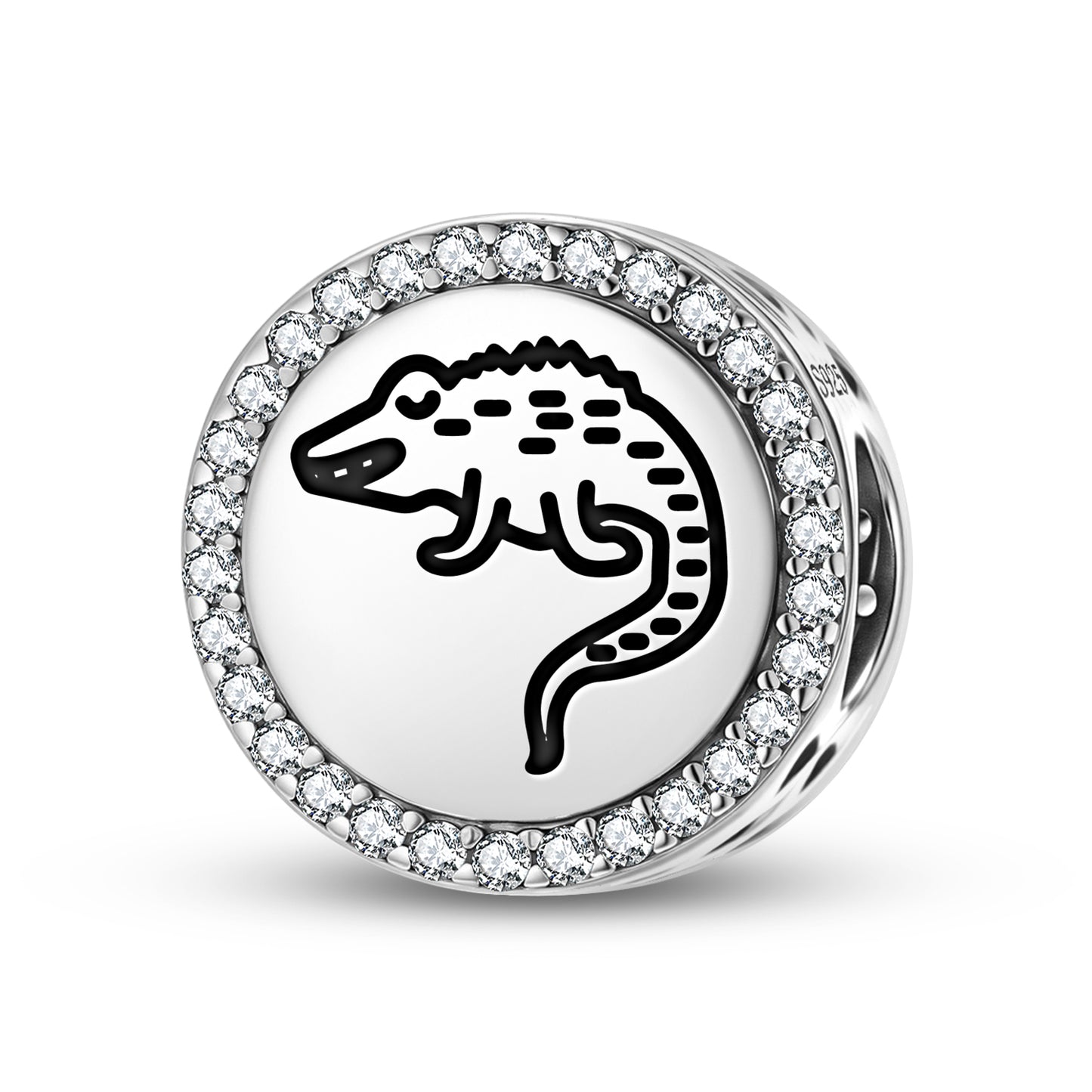Crocodile Jainism Symbols Charm