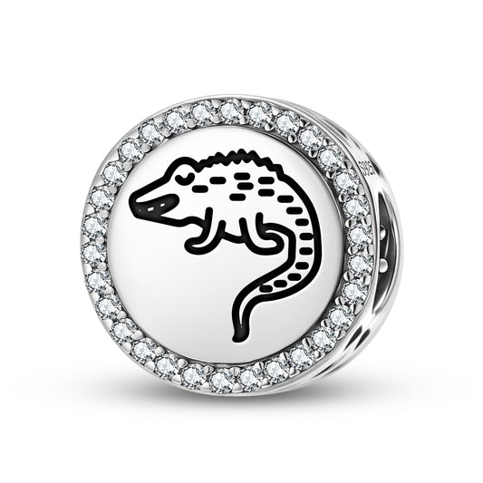 Crocodile Jainism Symbols Charm