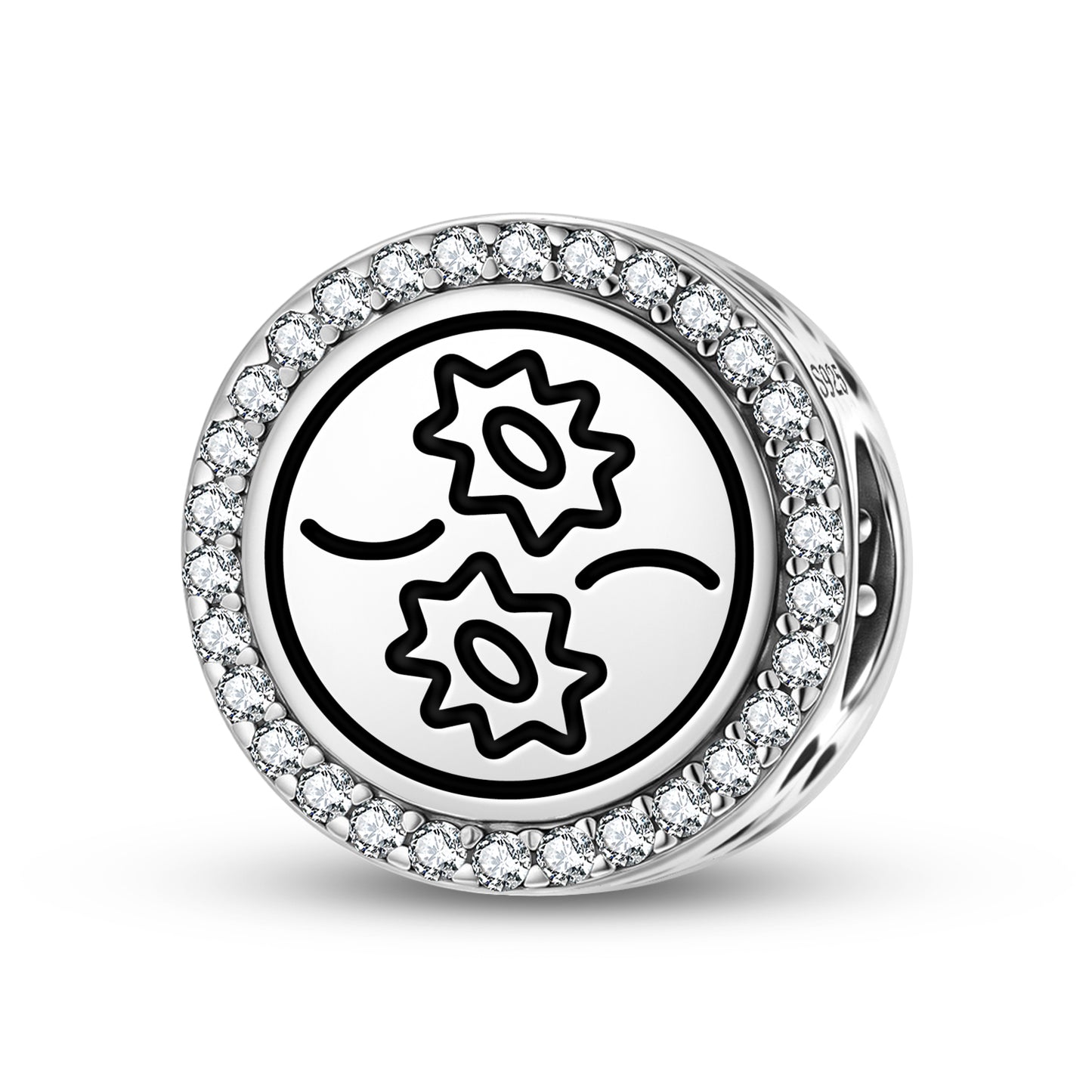 Pisces Seal Anthroposophy Symbols Charm