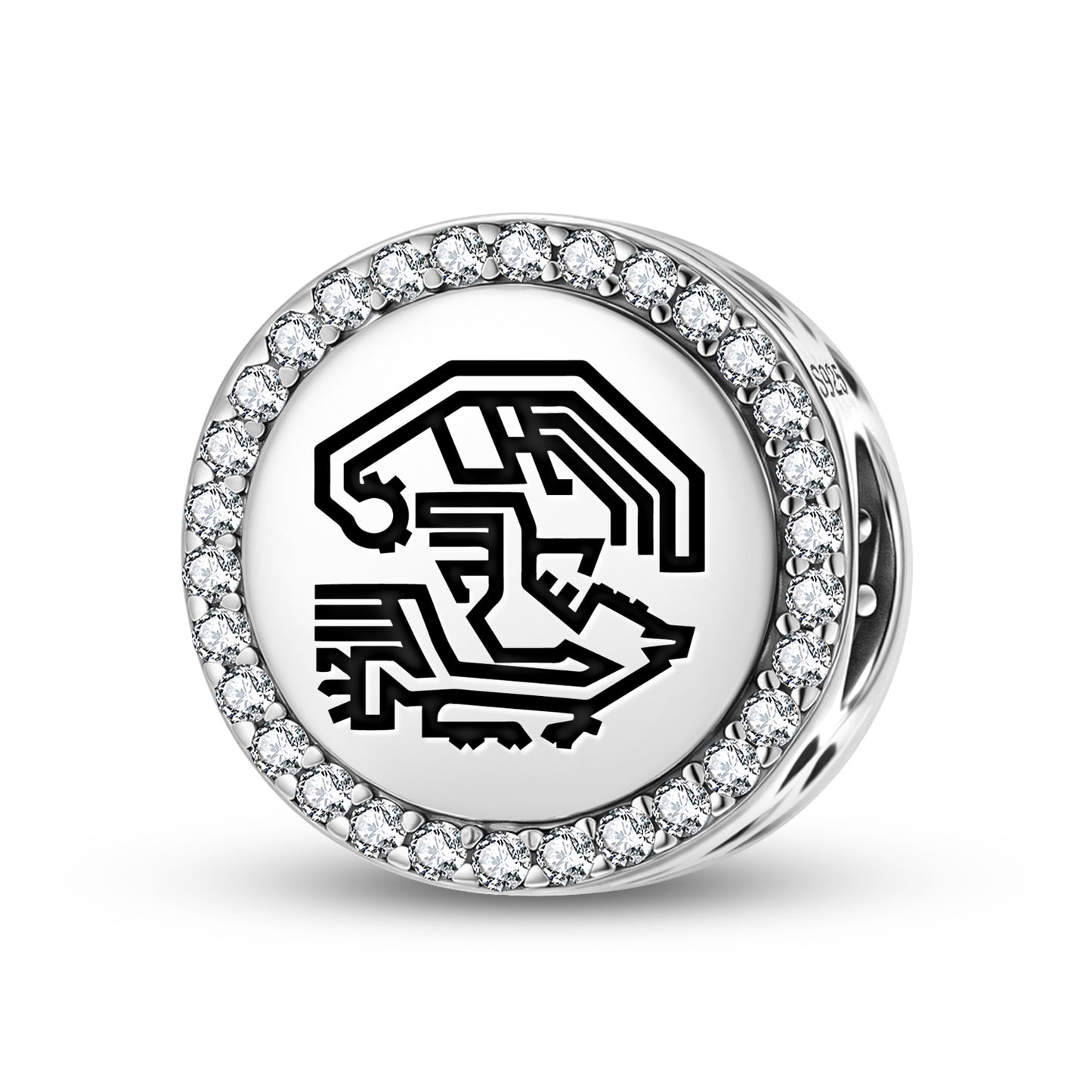 Dragon and Phoenix Turkish Symbols Charm