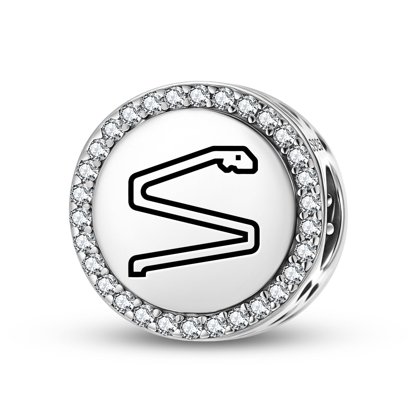 Snake Persian Symbols Charm