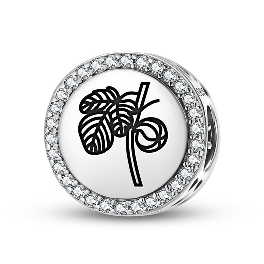 Fig Ficus Ruminalis Roman Empire Symbols Charm