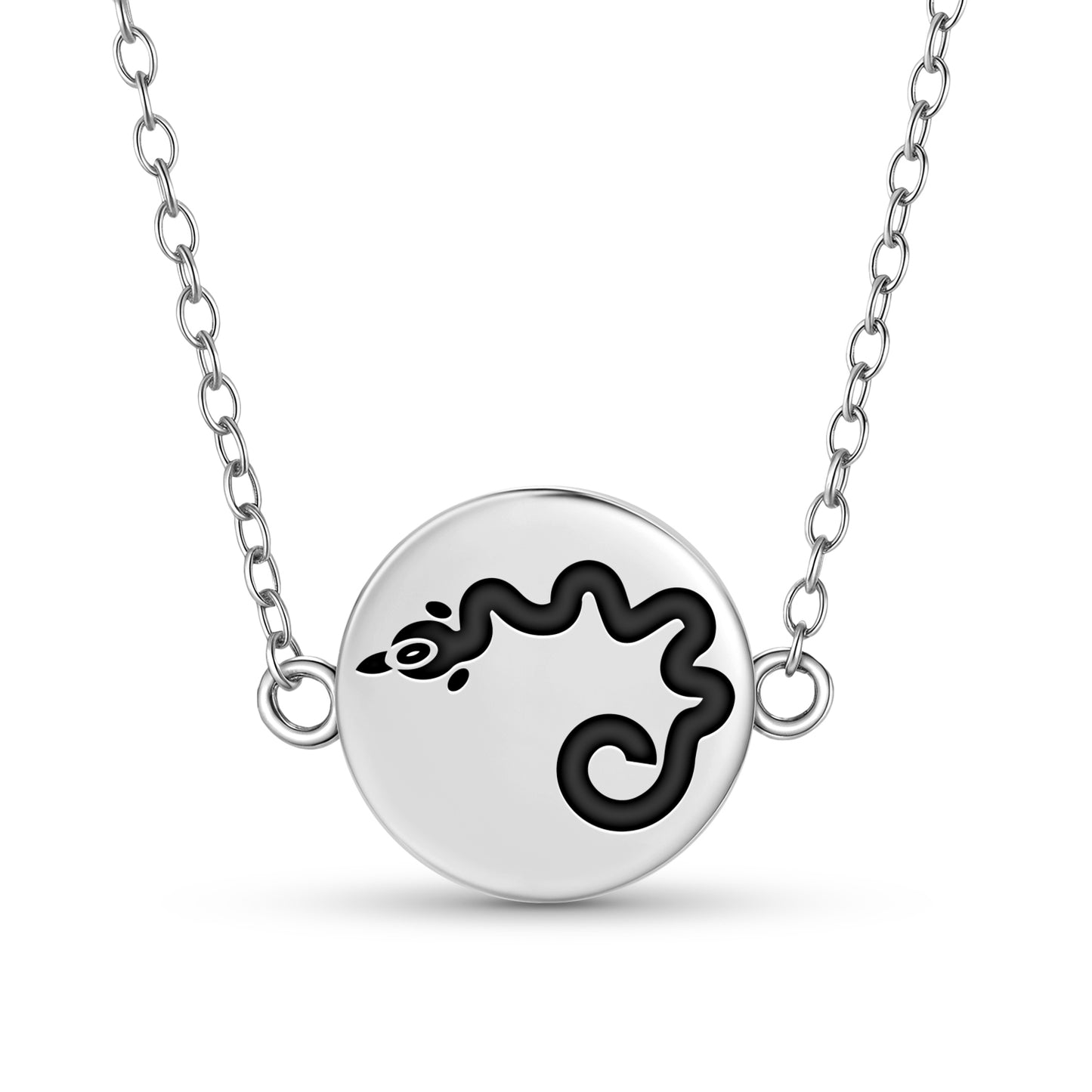 Tokchi'i Hopi Symbols Necklace
