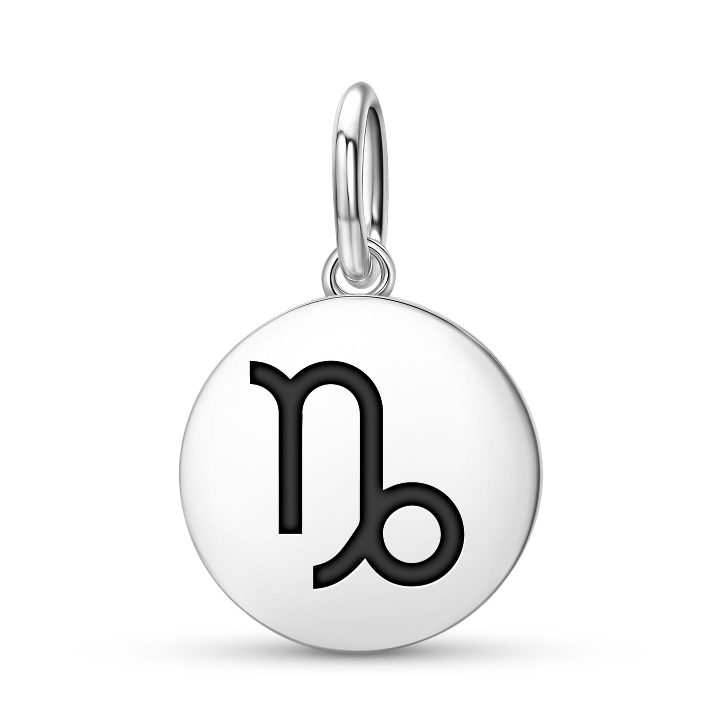 Capricorn Astrology Symbols Pendant Dangle Charm