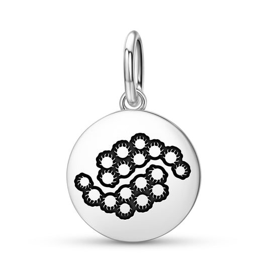 Goldenrod Flowers Symbols Pendant Dangle Charm