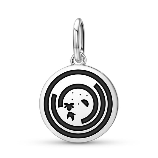 Shaman to the Sky Lakota Sioux Symbols Pendant Dangle Charm