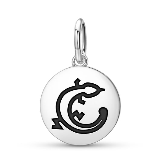 LIZARD Animal Symbols Pendant Dangle Charm