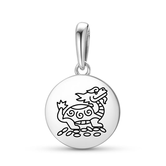 Dragon Turtle Feng shui Symbols Pendant Dangle Charm