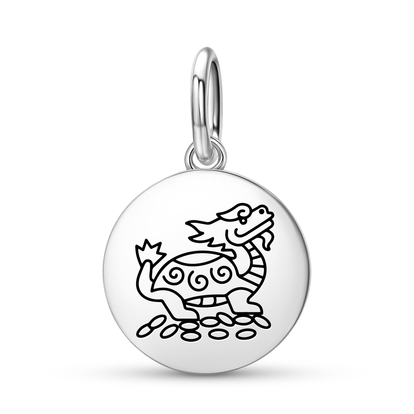 Dragon Turtle Feng shui Symbols Pendant Dangle Charm
