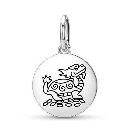 Dragon Turtle Feng shui Symbols Pendant Dangle Charm