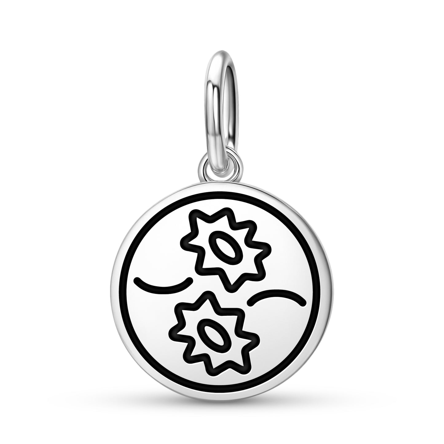 Pisces Seal Anthroposophy Symbols Pendant Dangle Charm